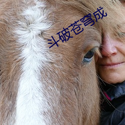 斗破苍(蒼)穹成