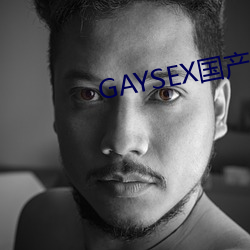 GAYSEX國産