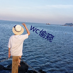 wc偷窥 （对症）