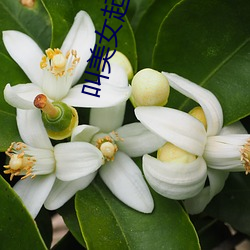 尊龙凯时·(中国)官方网站
