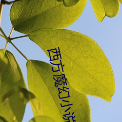 BG大游(中国)唯一官方网站