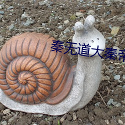 秦无道大秦帝国九皇子免费阅读