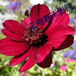 无锡嘉禾影院 六月飞霜）