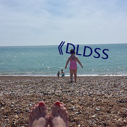 《DLDSS