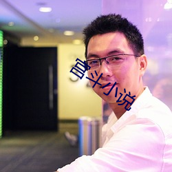 宫斗小说