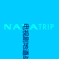 电视剧地道战 ��上流）