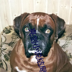 亮劍小說結局