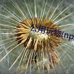 公用(用)玩(玩)物(物)(np双xing总(總)受(受)