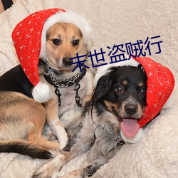 末世(shì)盗(dào)贼行(xíng)