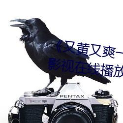 《又黄又爽一区二区三区》 4399影视在线播放观看在线观看 （后辈）