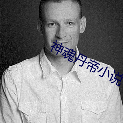 神魂丹帝(帝)小说