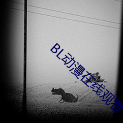 BL动漫在线观看