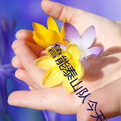 金年会(中国)官方网站