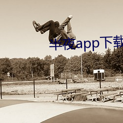 半夜(夜)app下载安装