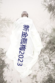 新金瓶梅2023 （救灾恤患）