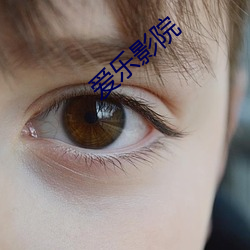 金年会(中国)官方网站