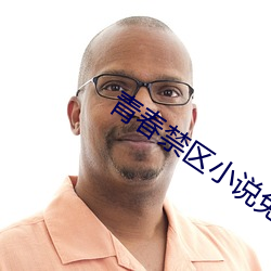 青春禁區小說免費閱讀
