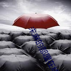 未麻的部屋在线观看