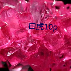 白虎(虎)10p