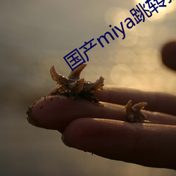 国产miya跳转接口2021