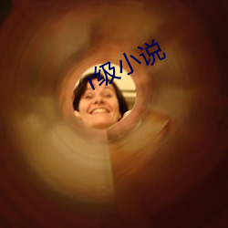 r级小说