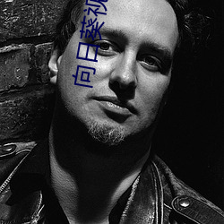 向日葵视频色板