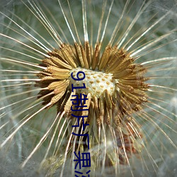 91制片厂果冻传媒大象传媒完整版:国产传媒剧情影视高清在