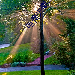 免费夫妻二人看的电视剧