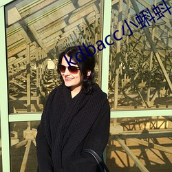 kdbacc小蝌蚪3.0