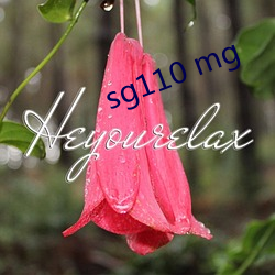 sg110 mg