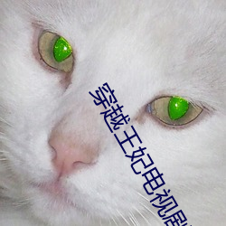 穿越王妃电视剧免费观看