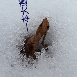 一(一)本大(大)道一(一)卡2卡三(三)卡4