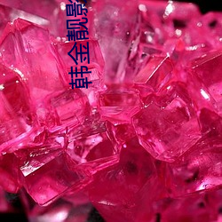 韩金靓影视
