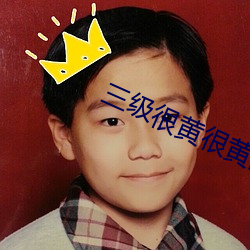 三级很黄很(hěn)黄的三级小说