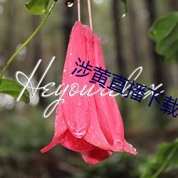 涉黄直播下载软(run)件