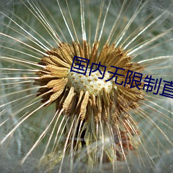 国内无限制直播平台大全