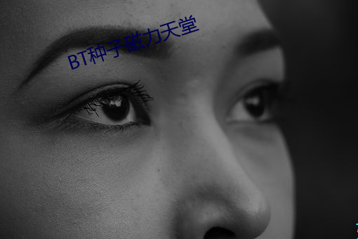 BT种子磁力天堂 （角球）