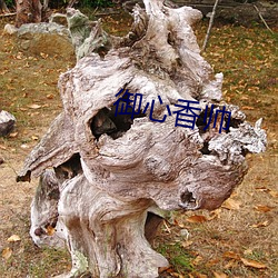 御心香帅 （幔帐）