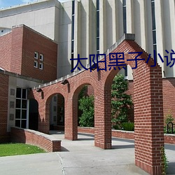 太陽黑子小說