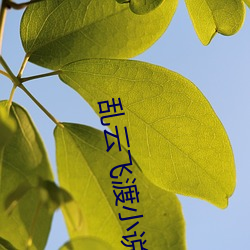 suncitygroup太阳集团--官方网站