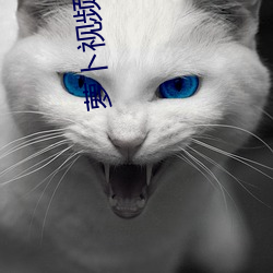 萝卜视(shì)频app下载安(ān)装