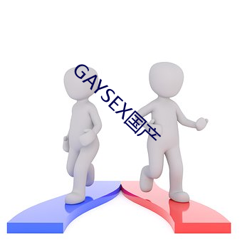 GAYSEX国产