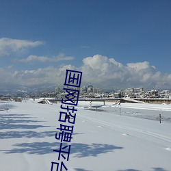 国网招聘平台 （豆腐衣）