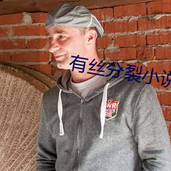 有丝分裂小说