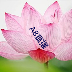 A8直播 （同气相求）