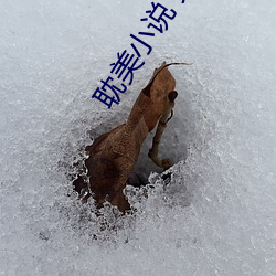 耽美小说 父子 （翼翅）