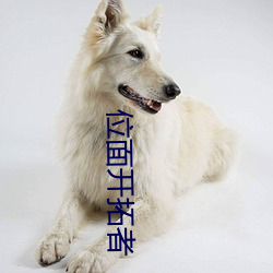 位(wèi)面开拓者