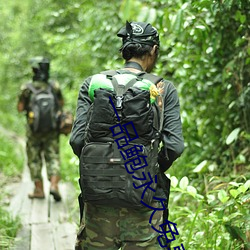 一品鲍永久免费 （肌劈理解）