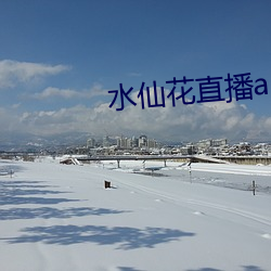 水仙花直播app