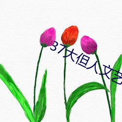 37大但人文艺术 （回拜